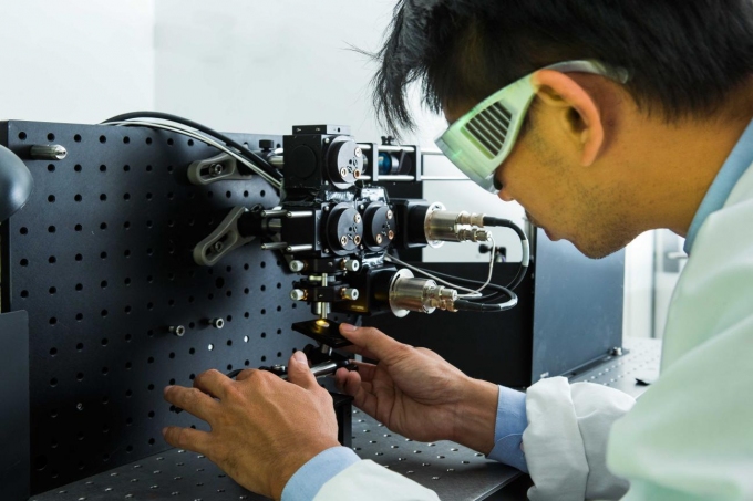 Scientists watch living taste cells in action
