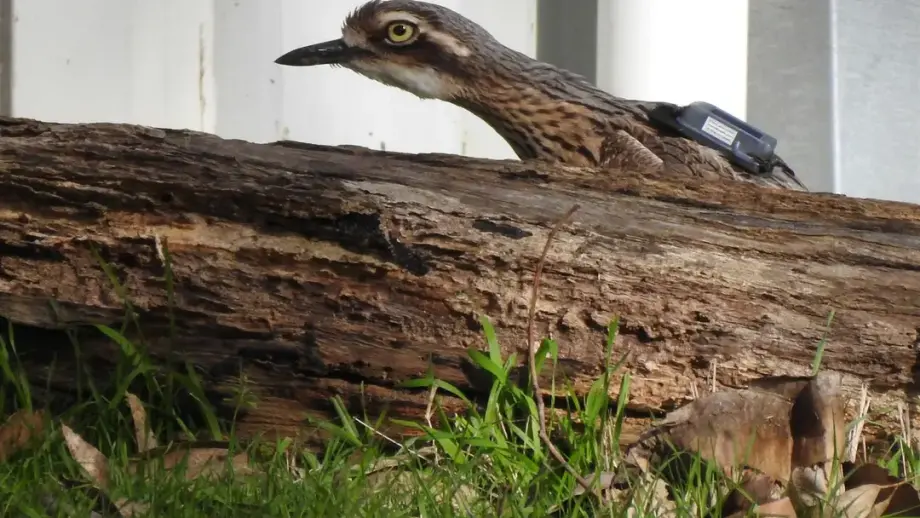 news thumbnail image