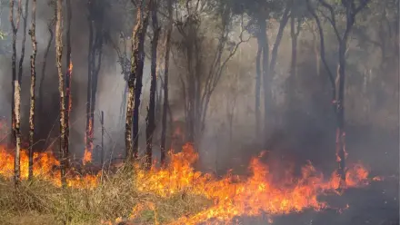 news thumbnail image