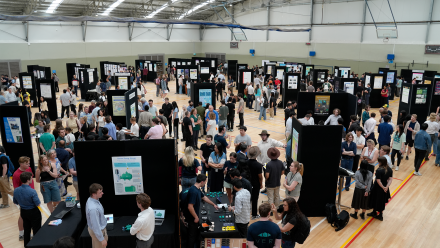 news thumbnail image