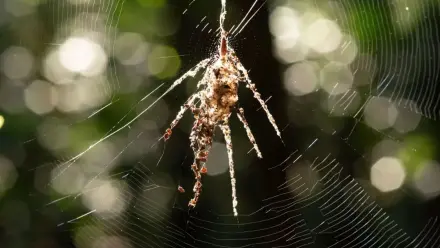 news thumbnail image