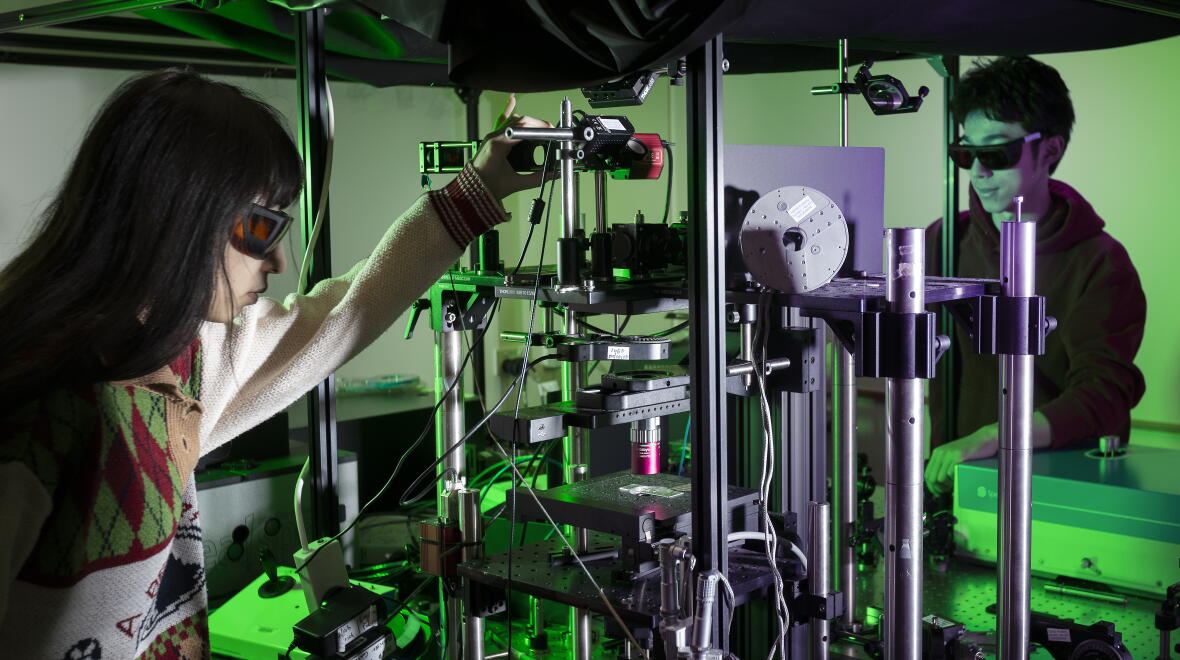 Bachelor of Engineering (Honours) in Software Engineering