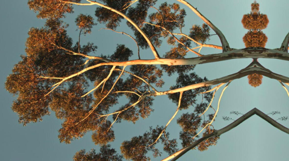 ANU School of Cybernetics