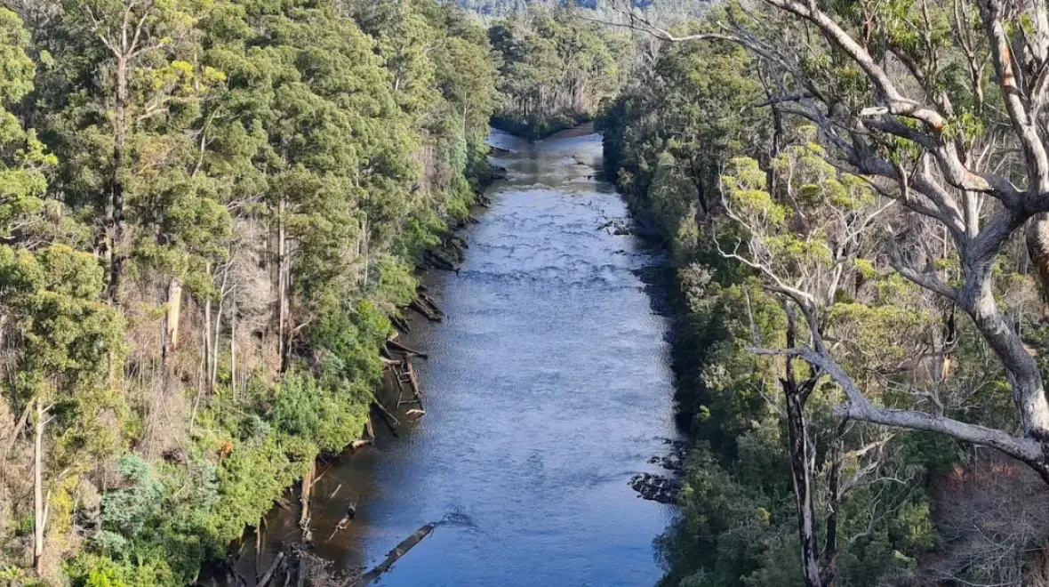 Graduate Certificate of Forests