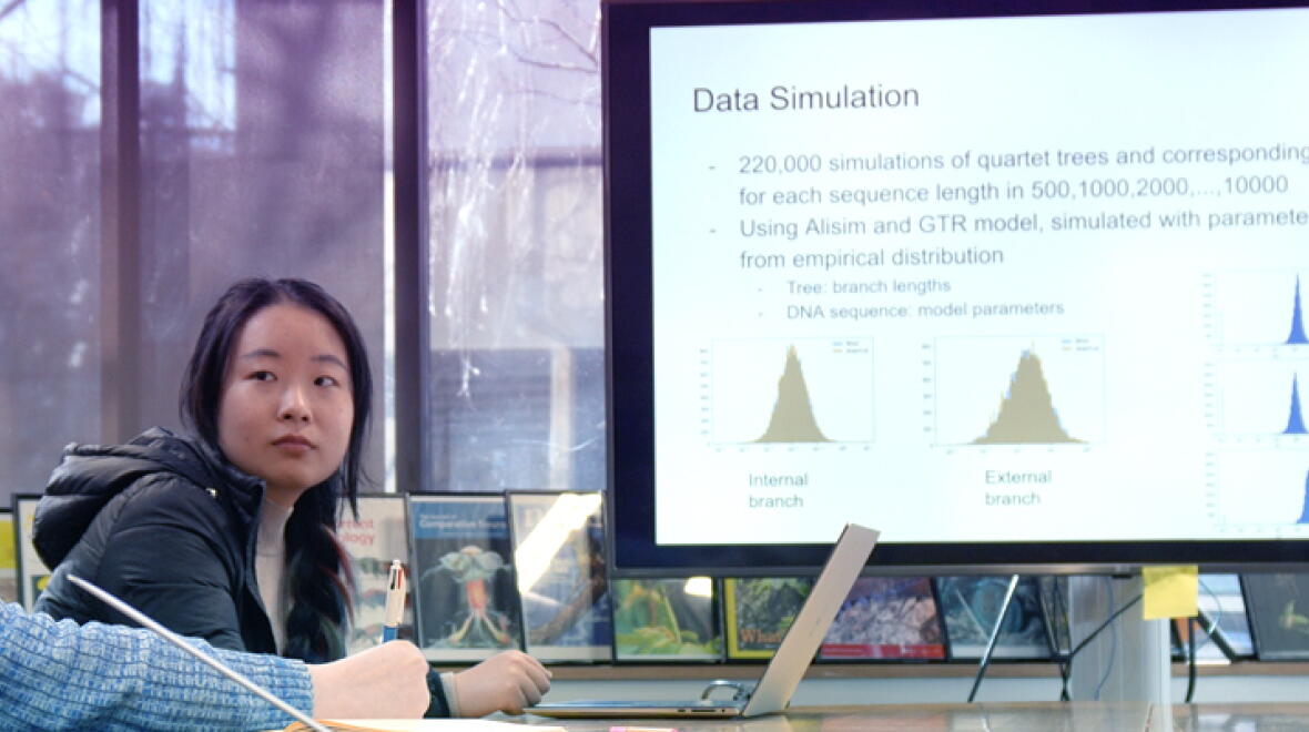 Honours in Applied Data Analytics