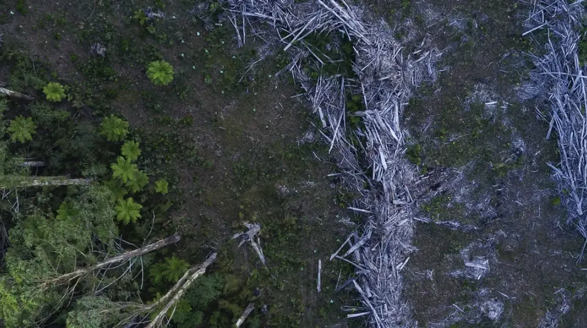 Master of Environment