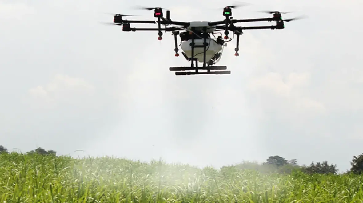 Master of Science in Agricultural Innovation