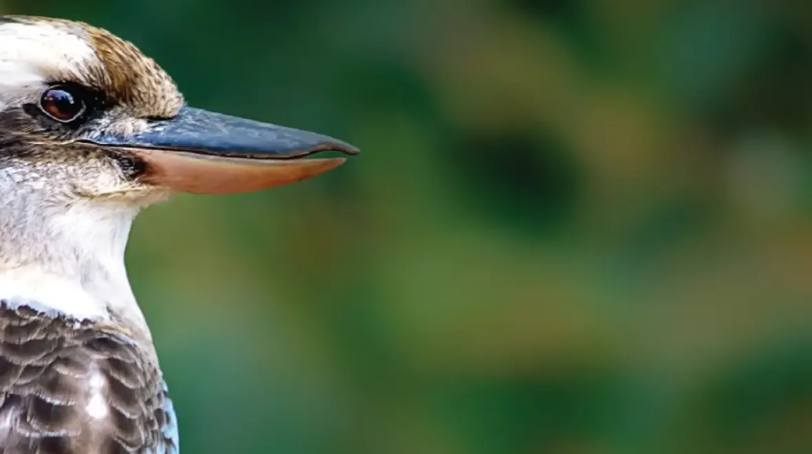 event thumbnail image