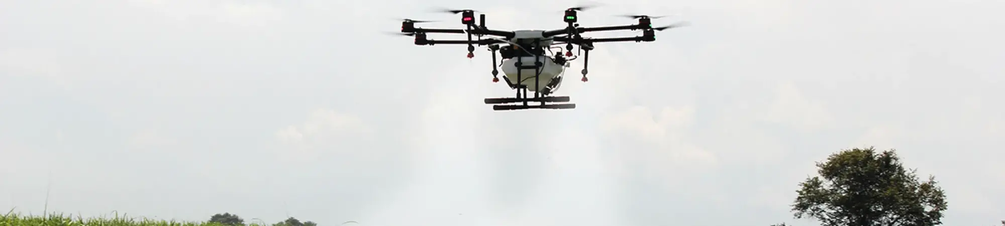 Master of Science in Agricultural Innovation