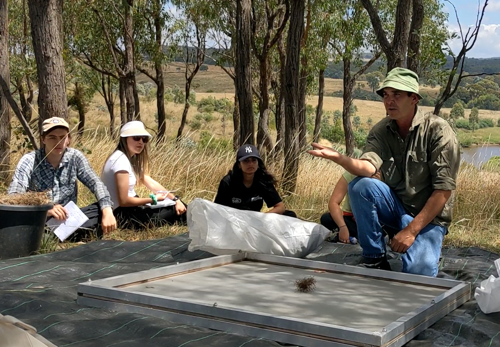 Patricia Wang-Zhou (second from left) takes notes at an Indigenous engineering design session, part of a Local Design Summit focused on land regeneration and native grains.