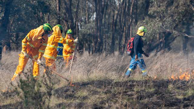 Colonisation cleared 95% of these woodlands – Indigenous cultural burning is bringing it back
