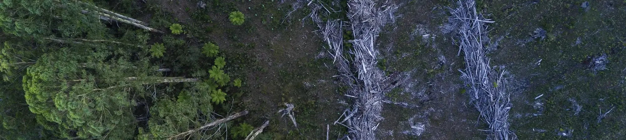 Master of Environment